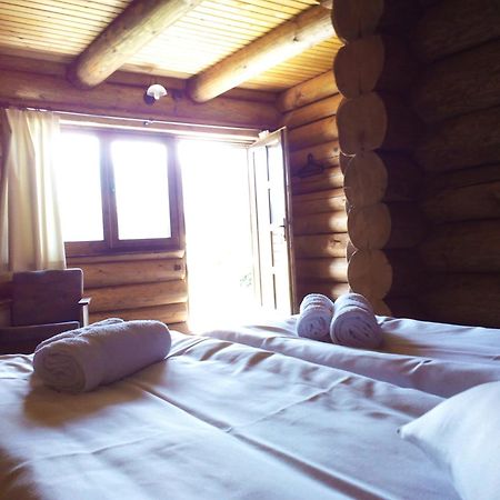 Sîmbăta de Sus Casa Muntelui - Sambataゲストハウス エクステリア 写真