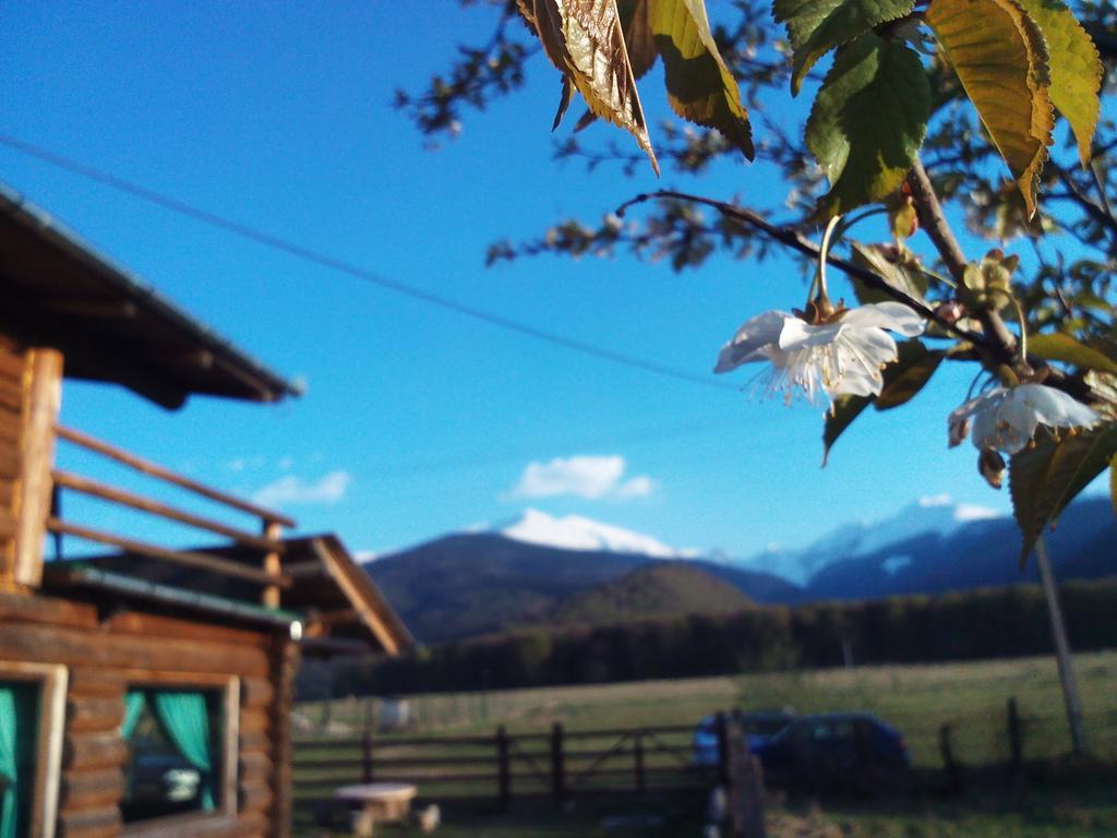 Sîmbăta de Sus Casa Muntelui - Sambataゲストハウス エクステリア 写真