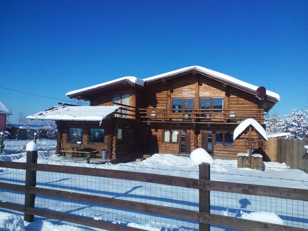 Sîmbăta de Sus Casa Muntelui - Sambataゲストハウス エクステリア 写真