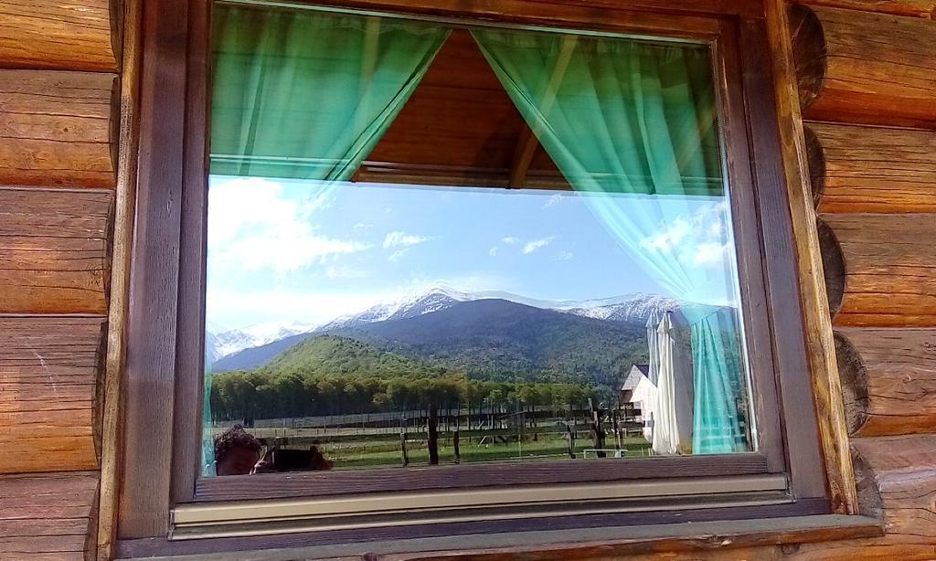 Sîmbăta de Sus Casa Muntelui - Sambataゲストハウス エクステリア 写真