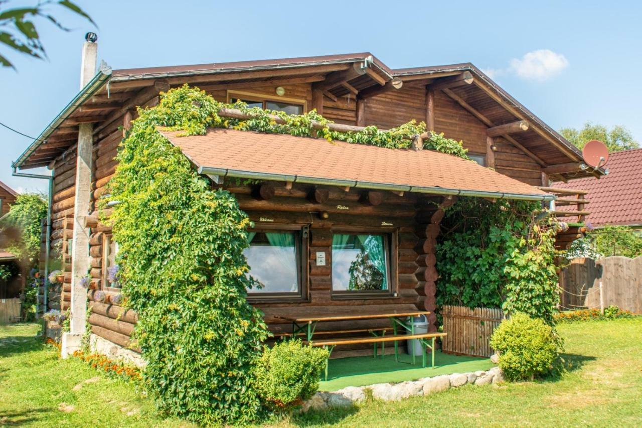 Sîmbăta de Sus Casa Muntelui - Sambataゲストハウス エクステリア 写真