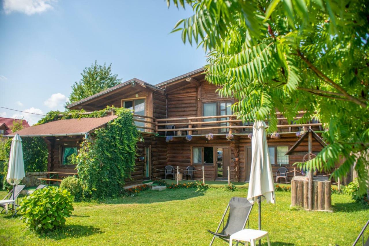 Sîmbăta de Sus Casa Muntelui - Sambataゲストハウス エクステリア 写真