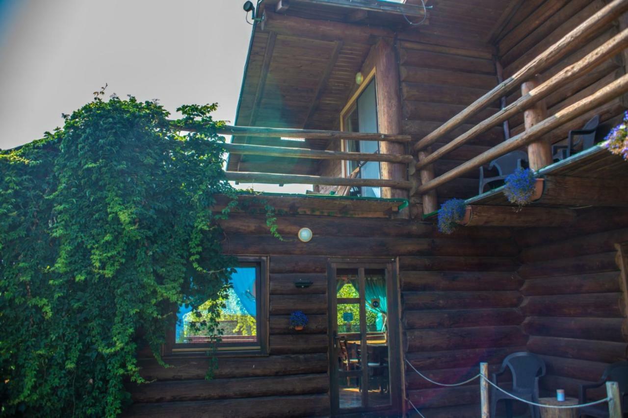 Sîmbăta de Sus Casa Muntelui - Sambataゲストハウス エクステリア 写真
